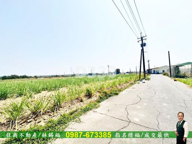湖內農地-6