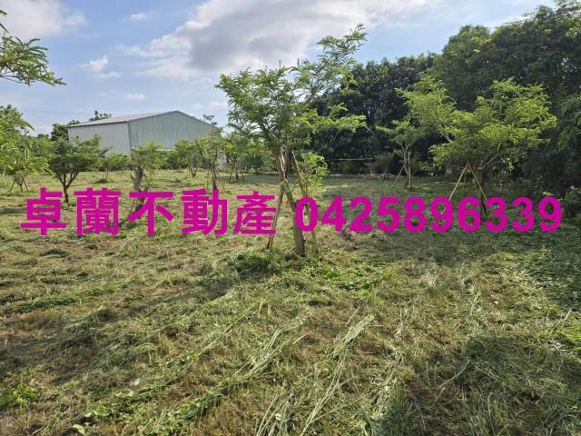 后里農地_休閒地_道路地-10