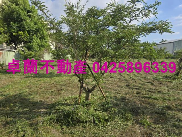 后里農地_休閒地_道路地-11