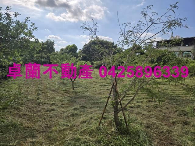 后里農地_休閒地_道路地-2