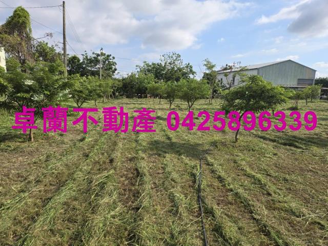 后里農地_休閒地_道路地-4