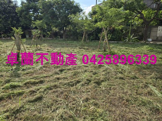 后里農地_休閒地_道路地-5