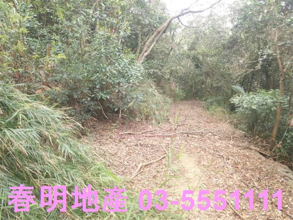 新竹農地_林地-10