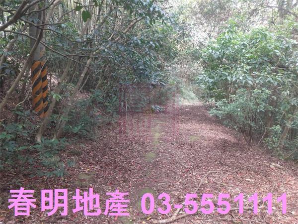 新竹農地_林地-11