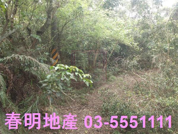 新竹農地_林地-13