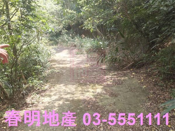新竹農地_林地-14