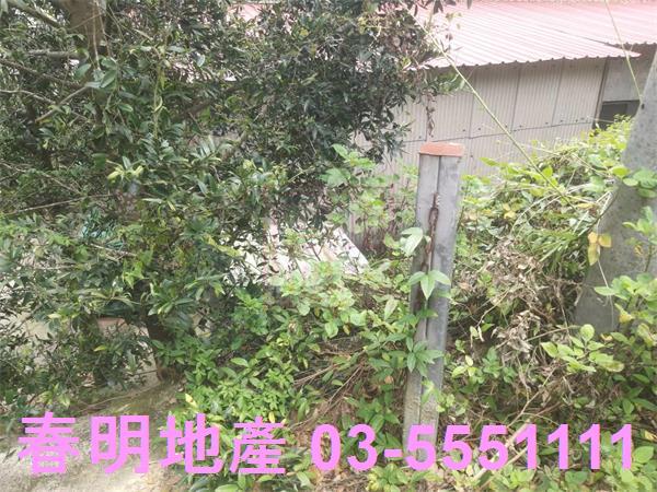 新竹農地_林地-2