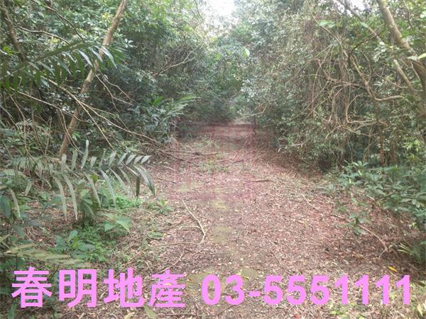 新竹農地_林地-7