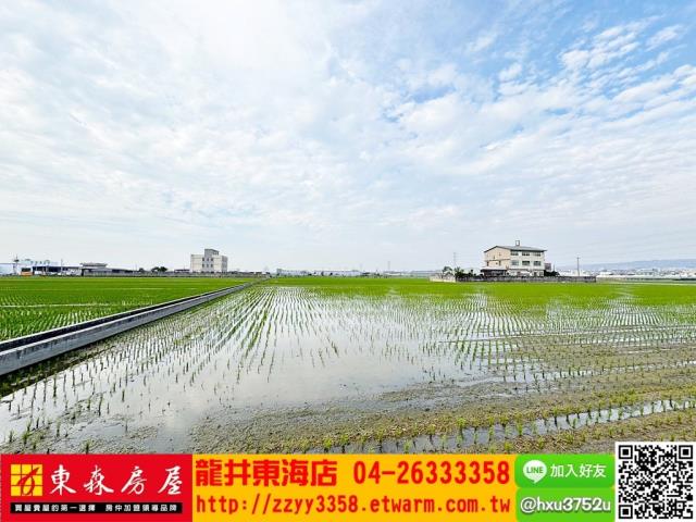 台中龍井農地-12