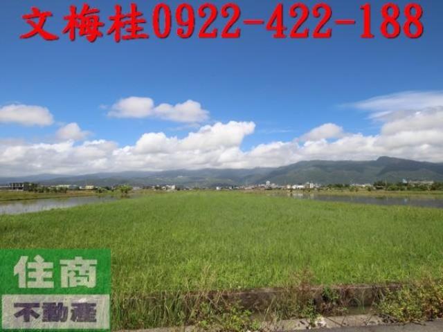 宜蘭礁溪農地-1