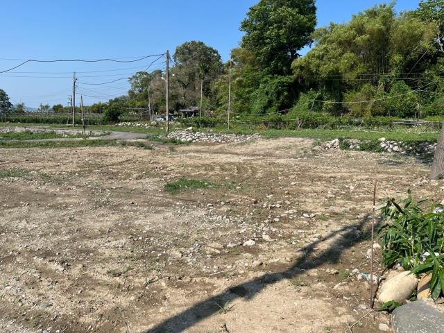 東勢農地_休閒地-4