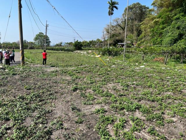 東勢農地_休閒地-5