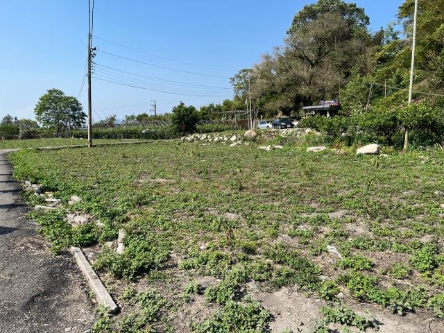 東勢農地_休閒地-6