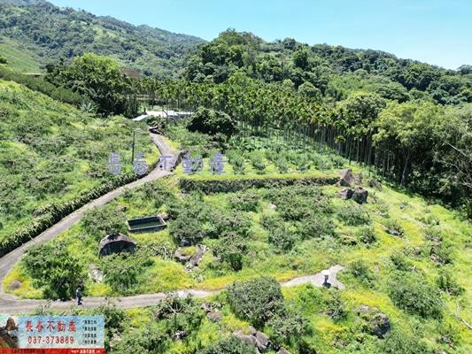 苗栗農地_建地_山坡地-1