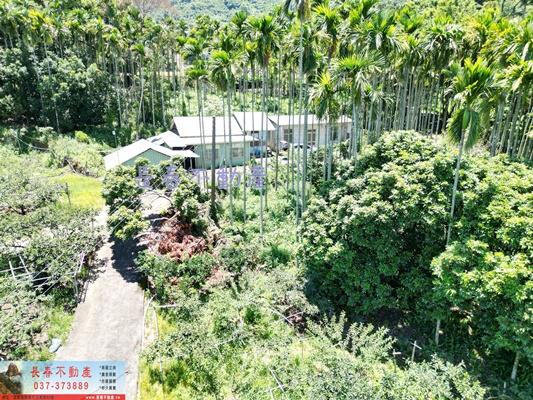 苗栗農地_建地_山坡地-2