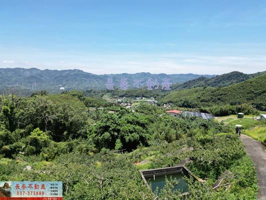 苗栗農地_建地_山坡地-3