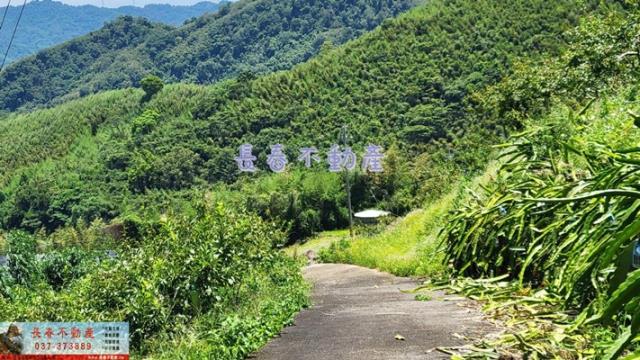 苗栗農地_建地_山坡地-4