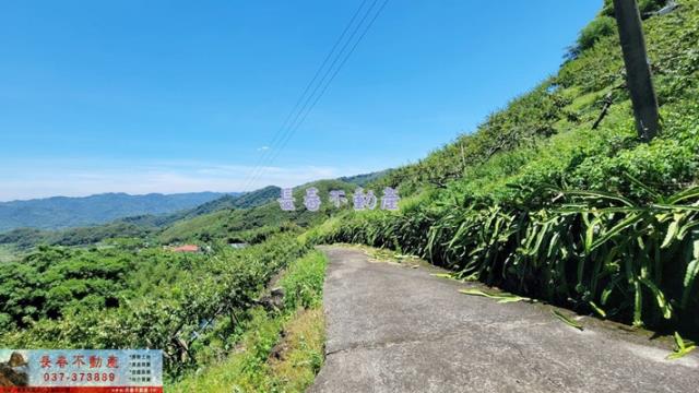 苗栗農地_建地_山坡地-5