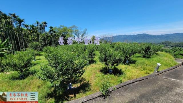 苗栗農地_建地_山坡地-7