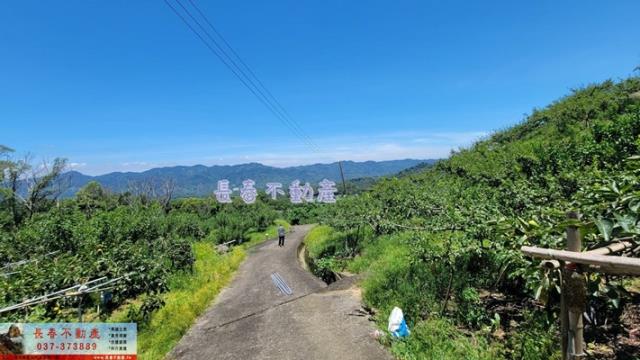 苗栗農地_建地_山坡地-8