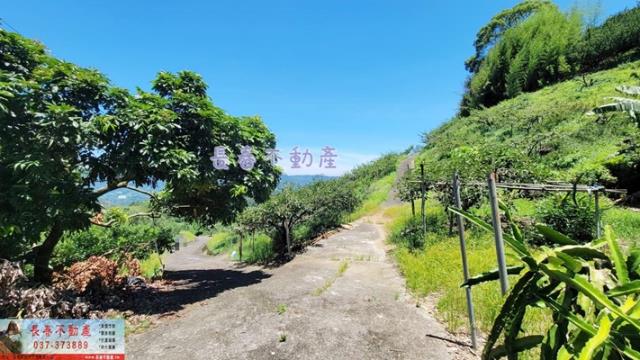 苗栗農地_建地_山坡地-9