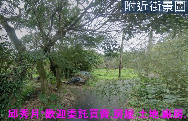 新北三芝農地_建地-4