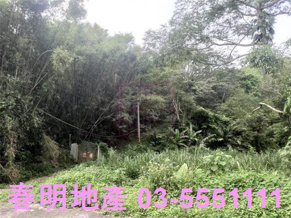 北埔農地_林地-2