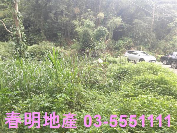 北埔農地_林地-5