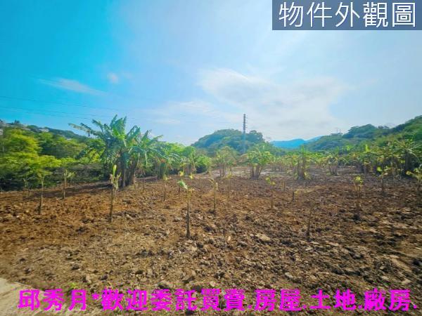 新北農地-4