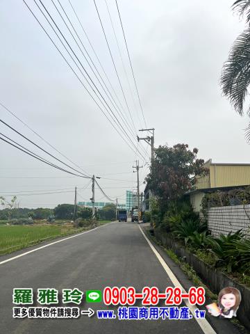 桃園新屋農地-3