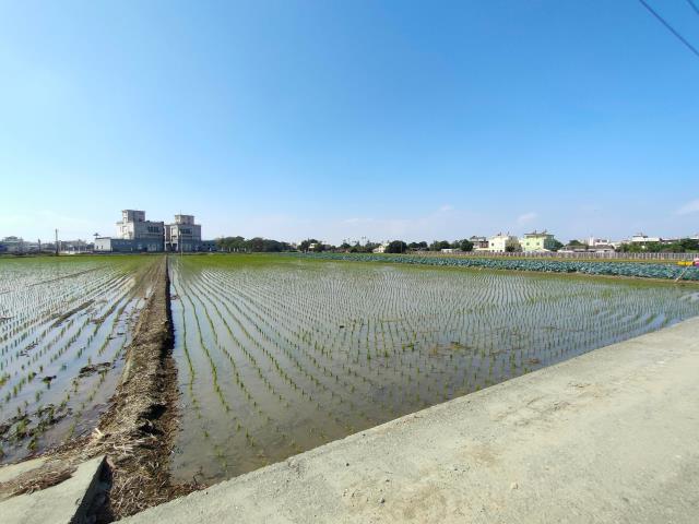 彰化竹塘農地-1