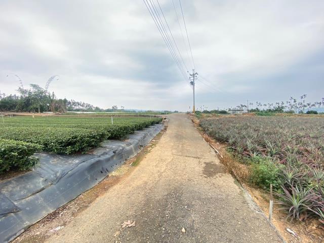 南投名間農地_休閒地-1