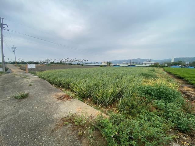 南投名間農地_休閒地-3