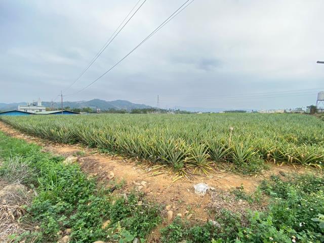 南投名間農地_休閒地-4