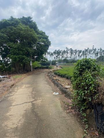 南投名間農地_休閒地-5