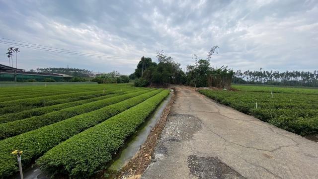 南投名間農地_休閒地-6