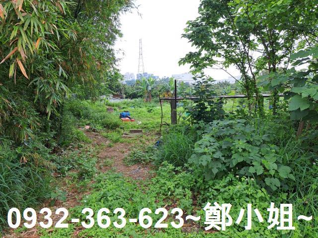 蘆竹農地-5