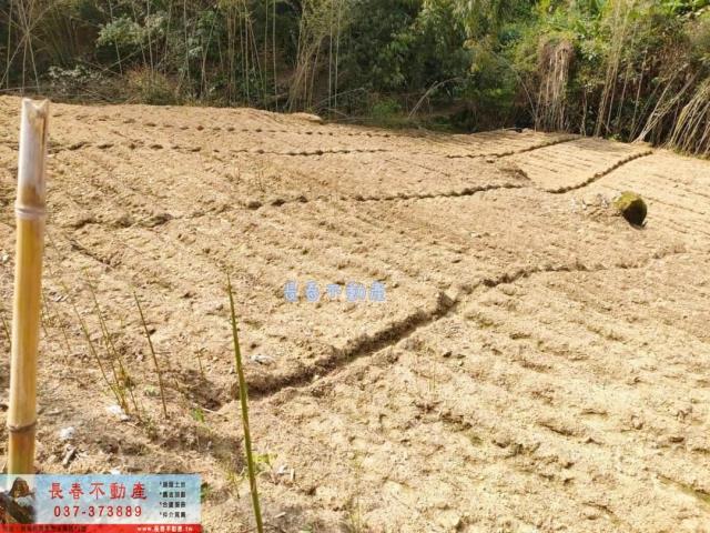 苗栗農地_山坡地_林地-2