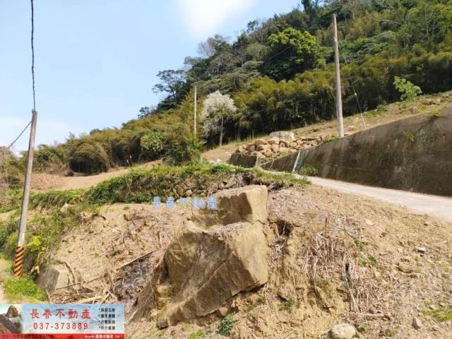 苗栗農地_山坡地_林地-3
