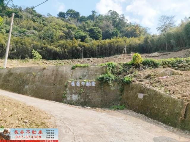 苗栗農地_山坡地_林地-4