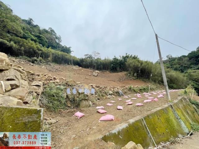 苗栗農地_山坡地_林地-5