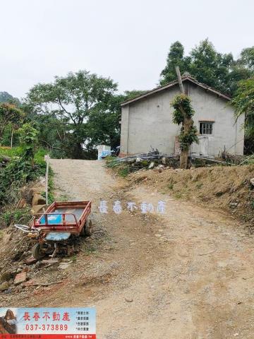 苗栗農地_山坡地_林地-8