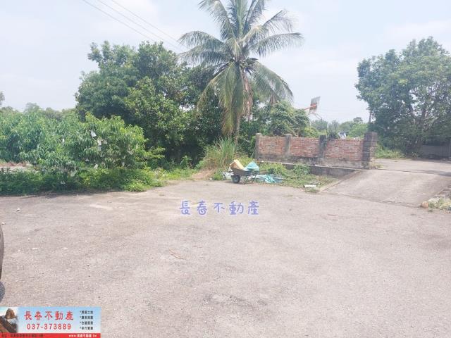 苗栗西湖農地_建地_林地-2