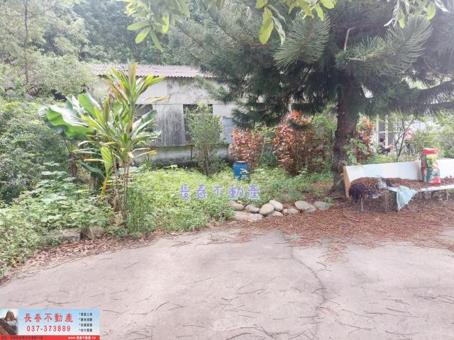 苗栗西湖農地_建地_林地-5