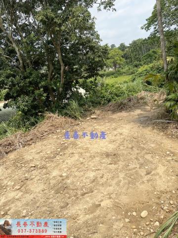 苗栗西湖農地_建地_林地-6