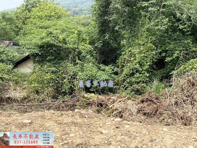 苗栗西湖農地_建地_林地-7