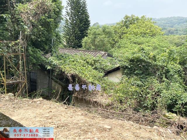 苗栗西湖農地_建地_林地-8