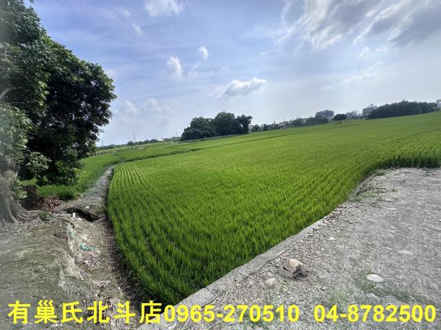 田中農地-1