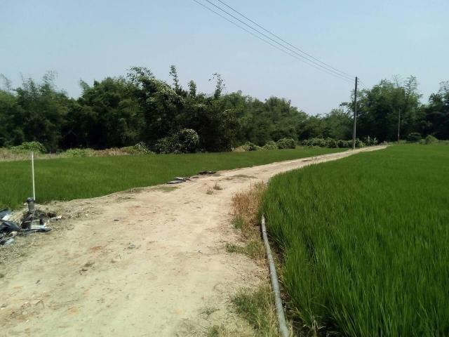 嘉義大林農地-5