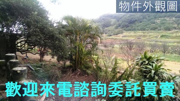 三芝農地_建地-9